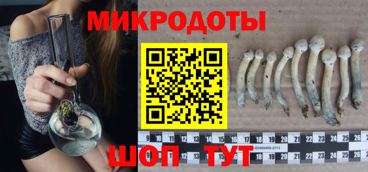 Кунгур  Псилоцибиновые грибы Magic Shrooms  Галлюциногенные грибы Magic Shrooms  где продают   Вход с VPN 